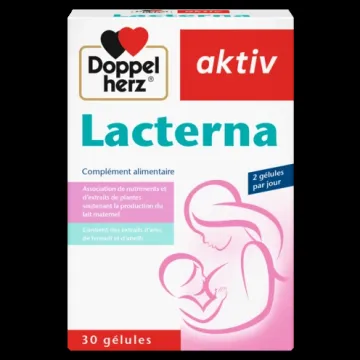 Lacterna